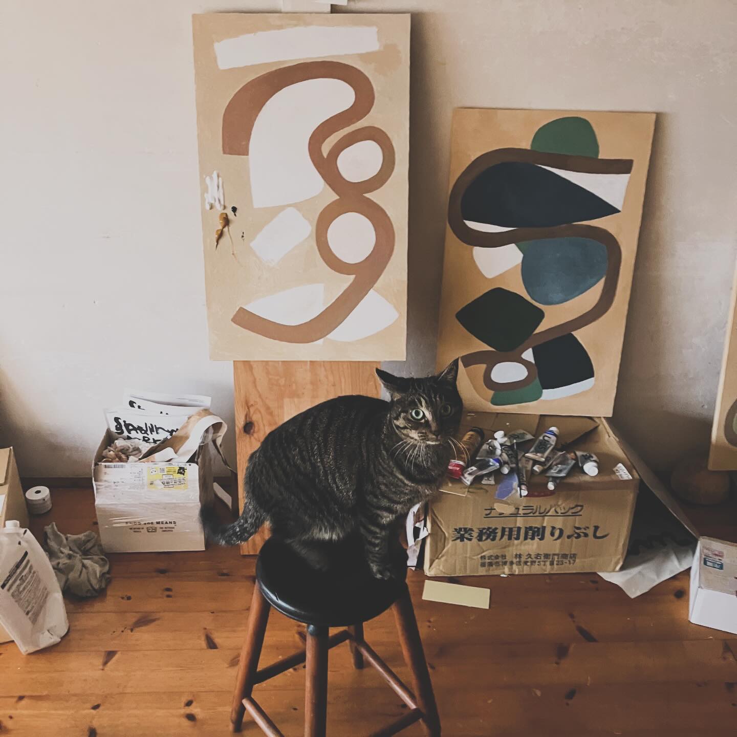 621140878_18551610808024017_4963772416625068190_n